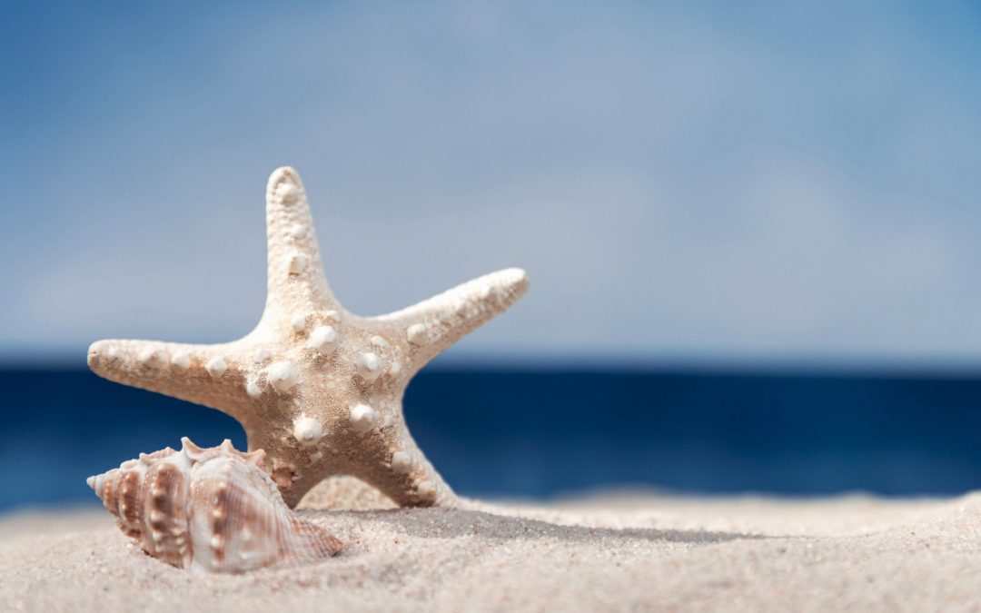 Agosto al mare – Prenota prima e risparmia