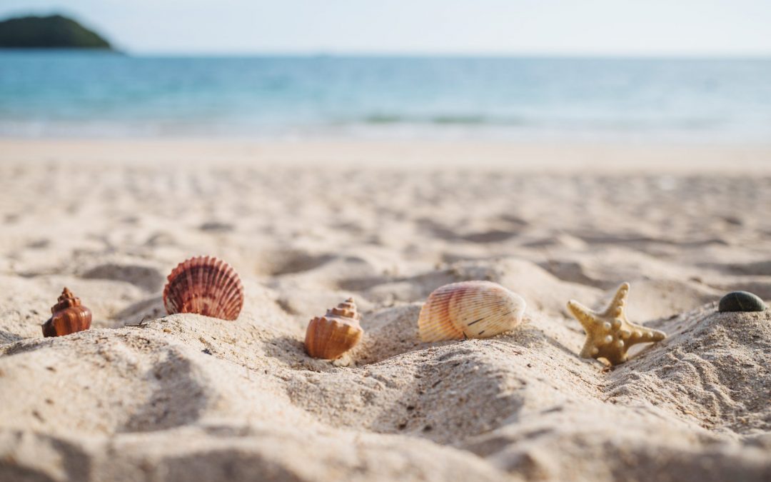 Agosto – Tutti al mare!